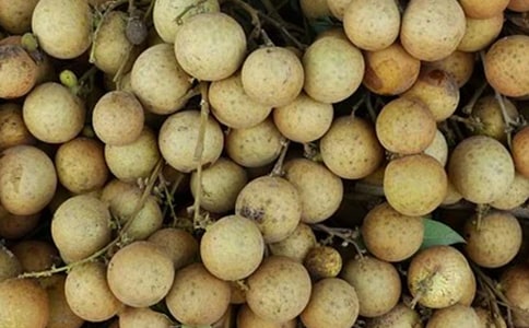 �P(gu��n)�����ۘ������