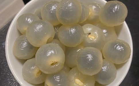 �����]�����ۘ�����16ƪ