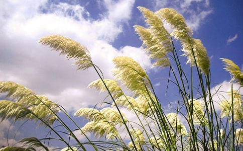 ���x�JȔ?sh��)����?00����ƪ