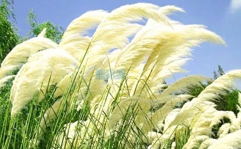 ٝ���JȔ����Ψ������