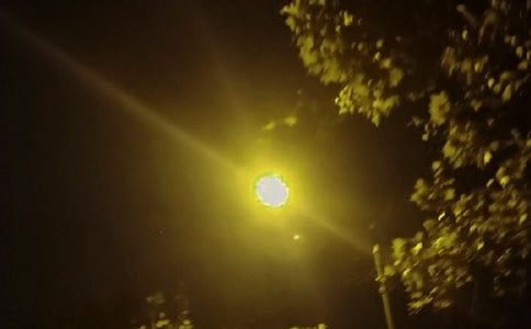 ѩ�����ϵ�·��