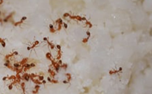 �^��Λρ?zh��n)��?00��