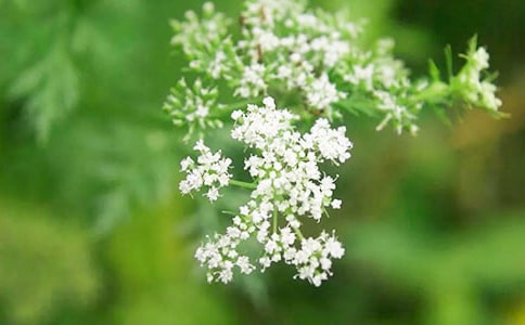 С�W(xu��)���@����M����