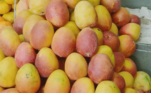 ��ͨ�á����l(xi��ng)��â������