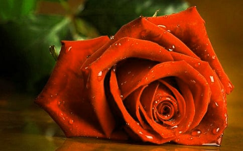 ��߅õ��_�ݷ���