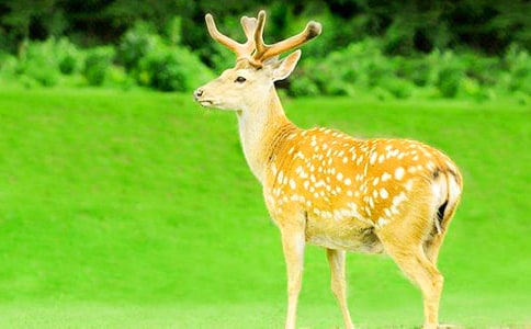 ÷��¹-�P(gu��n)�ڄ�(d��ng)�������800��