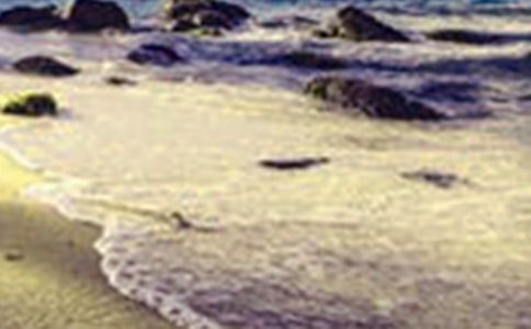 �ļ����������ģ����x53ƪ��