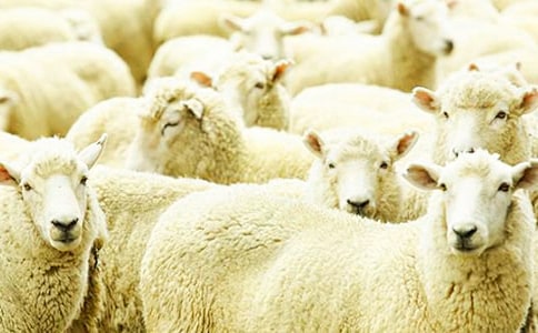 С�d���Ƕ�����ǵ�����