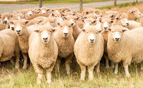 ����ش���;d��(j��ng)��Ԣ�Թ���