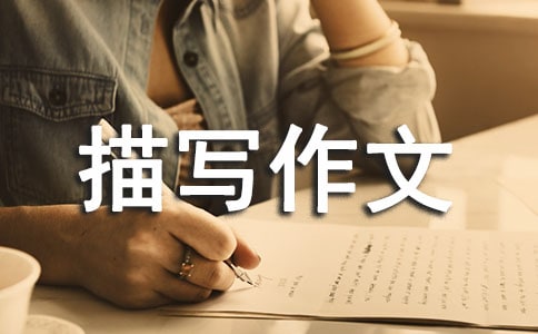 �������(d��ng)�茑����300��[���\3ƪ]