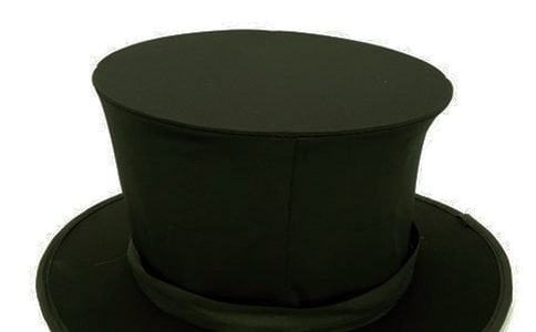 會(huì)變魔術(shù)的胖大海作文