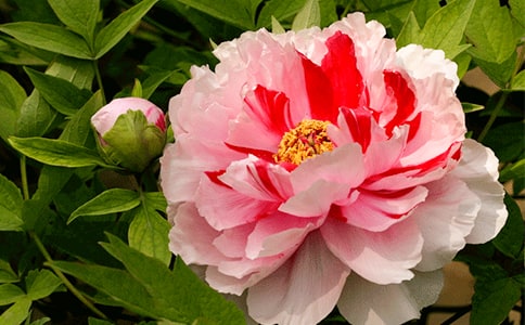 ��(gu��)��ĵ����������