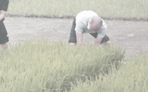 干農(nóng)活的作文300字(精選29篇)