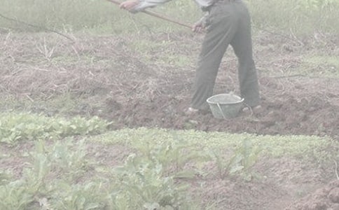 �ְָ��r(n��ng)�������ͨ��