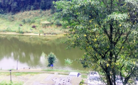 農家樂一日游作文