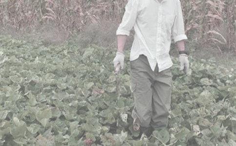 農(nóng)作物種子預(yù)約生產(chǎn)合同范本3篇