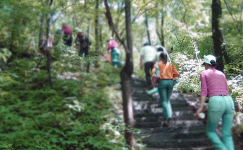 ��ɽ������[���]]