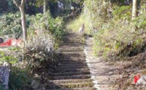 ��Ƭ�G�G����ɽ���̌W(xu��)��˼