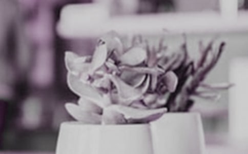 �茑���Եľ���[��(y��u)��4ƪ]