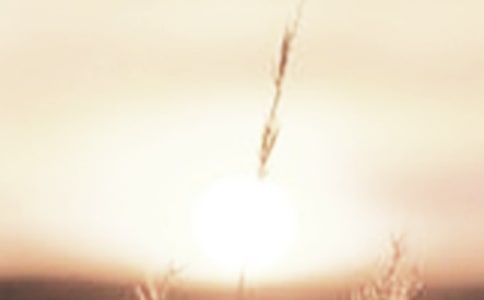 �ƕԵ�`ϣ������