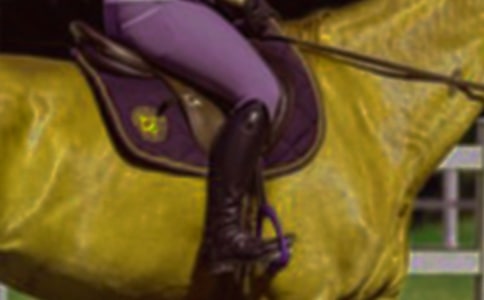 ��һ���T�R����[��(y��u)��]