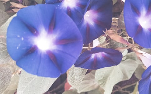 ����ţ���Ľ�(j��ng)���^����ӛ