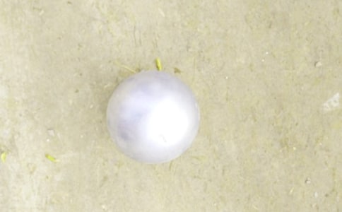 �U��V����(15ƪ)