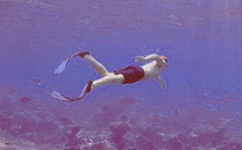 第一次潛水作文(10篇)