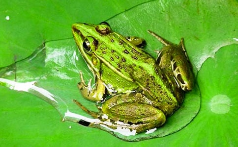 �����x���300�֣����x5ƪ��