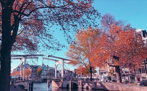 ���ģ����յ�ζ��