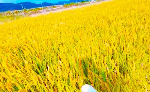 �����������ľ��ӣ����x370�䣩