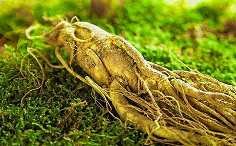 個(gè)人參加戶外拓展活動(dòng)心得