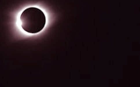 �����һ������ʳ������