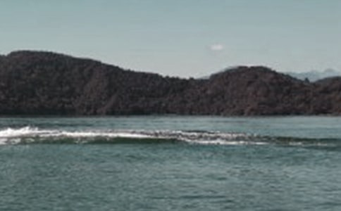 ����̶�Č����~