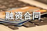 戰(zhàn)略性融資合同范本