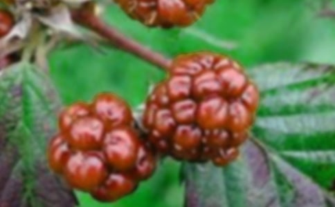 �Ґۼ��l(xi��ng)��ɣ������2ƪ