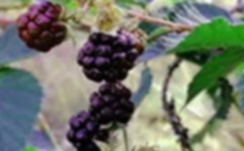 ժɣ��С�W(xu��)����400��