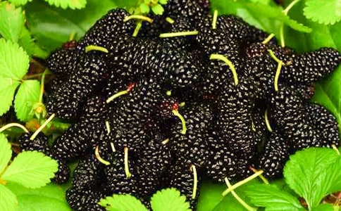 ��ɣ�����ˡ���x��