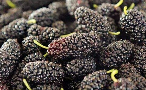 ����ӛ���е�.ɣ������