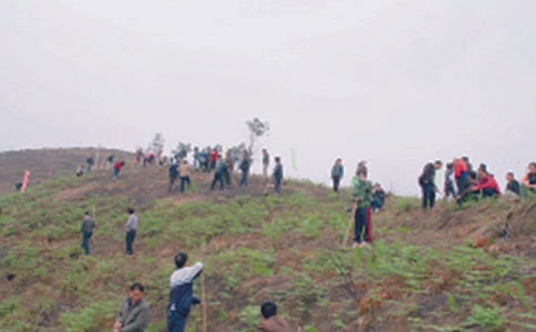 小學生掃墓日記15篇