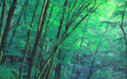 ɭ�ֲ�ԭ������������꼉