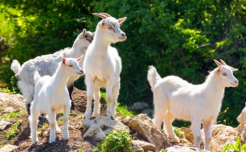 ��ɽ�����꼉(j��)���ģ�ͨ��20ƪ��