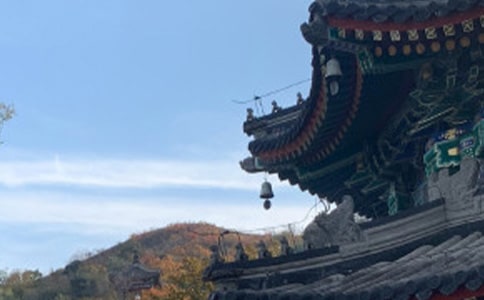 讀《上下五千年》有感作文400字