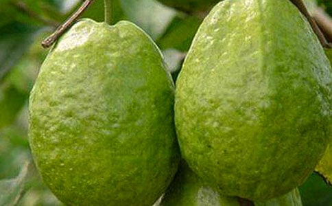 �茑ʯ�������Č�(sh��)��(7ƪ)