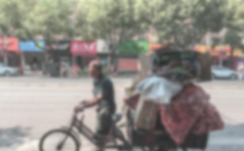 拾荒老人作文1000字