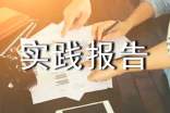 社會實踐報告的結(jié)構
