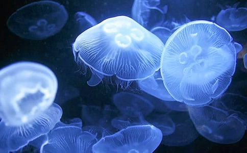 �^��ˮĸ������