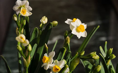 ˮ������600��