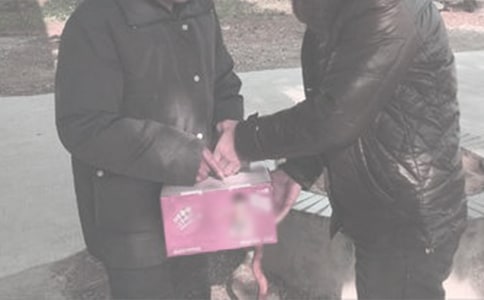 ���x�ͶY��ľ��ӣ�ͨ��530�䣩