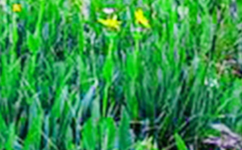 ���꼉������������Ұ400�֣�ͨ��73ƪ��